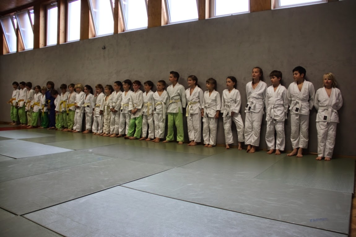 Gürtelprüfungen 2013